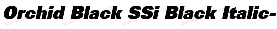 Orchid Black SSi Black Italic字体转换